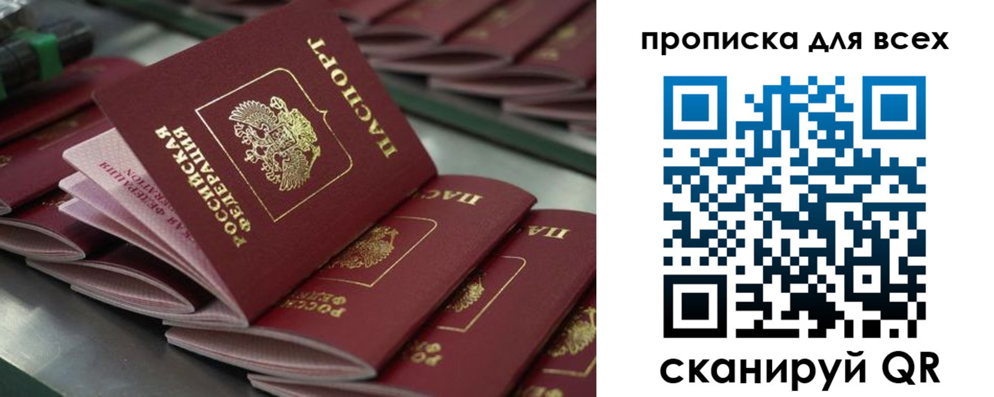 найти адрес прописки в Белой Холунице